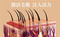 头皮:决定“森林”能否繁茂的“土壤”
