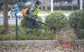肩背式“清扫神器”高效清理隔离带落叶