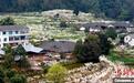 四川高县:李花盛放千山“雪”层林尽染春色浓