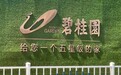 碧桂园境内债重组方案:同意费0.1%,现金购回选项上限4.5亿元