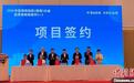 50余位侨商聚海南 探寻自贸港封关新机遇