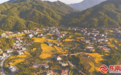 从象牙塔到田间地头,博士服务团“耕读”新乡村