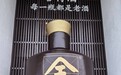 “一瓶酒”“两张牌”撬动600亿元 遂宁产区“出战”丨酒业高质量发展调研行③