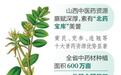 从三个科研平台创优看山西中医药传承创新发展