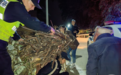 2小时紧急搜救!民警暖心收尾:七旬老人和柴火一起安全到家
