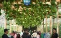 第二十六届中国(寿光)国际蔬菜科技博览会开幕