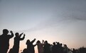 无人机扰鸟引关注 东营出台“禁飞令”守护候鸟安全