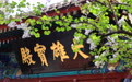 北京法源寺:丁香花开引客来