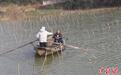江西瑞昌:加强长江生态保护 助推生态经济“双赢”