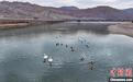 青海境内黄河、长江、澜沧江干流水质持续达优