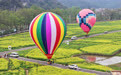 农旅融合 空中赏花