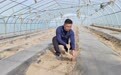 乡村行记·咱们村里的年轻人丨丁晓龙:从城市白领到“西瓜经纪人”