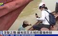 记者探访缅甸因瓦古城:90%古建筑震中损毁 意外发现地下佛寺遗址