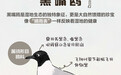 神奇动物在山东⑦丨AI采访“鸟类绅士”黑嘴鸥