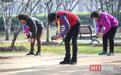 拍拍这里,拍拍那里,太极十二拍助市民拍出健康