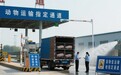 农业农村部新规落地 动物福利水平稳步提升