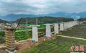 柳梧铁路3标项目桩基施工完成