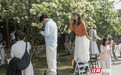 花海邂逅古建 湖南烈士公园木绣球花盛放引客来