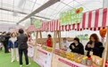 番茄又出新品种,上海金山区番茄种植年产值超7000万元