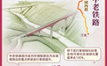 如画卷徐徐展开!跟着中老铁路打卡沿线美景