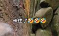 180斤游客卡在石缝?景区回应