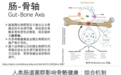 研发团队骨干出自世界顶级名校,赛哺高这款“儿童增高产品”真有奇效?