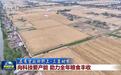 在希望的田野上·三夏时节 | 向科技要产能 助力全年粮食丰收