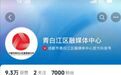 仿冒假冒官方账号、AI生成猎奇内容,从严整治!