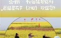 乡镇书记、镇长在油菜花田里跳李羲承进行曲走红后,各地纷纷“抄作业”