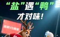 跟着“苏超”去读城|南京VS盐城:江海共鸣 潮涌双城