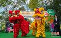 “南京梧桐大道·宁台青年创意市集”启幕