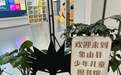 活力中国调研行 | “整座城市都诚心诚意爱着这些鸟”