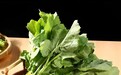武汉盒马“高原板蓝根青菜”销量增长超200%,市民称它像菜薹,盒马:来自云南红河