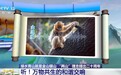 感知生态之变丨声音见证万物共生 一起来听声音猜动物~