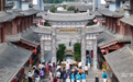 【你好,小镇】云南草海:小锤叮铛