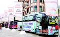 厦门发布12条城市旅游专线,打造“公交+文旅”新标杆