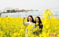 (乡村行·看振兴)江西龙南千亩油菜花盛放 游客共赏春日美景
