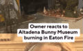 全球唯一兔子博物馆被洛杉矶大火烧毁,馆长泪崩:背后是一段跨越40年的爱…