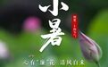文化中国行 | 小暑:心有“廉”花,清风自来
