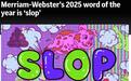 韦氏词典选出2025年度热词,slop有何含义?