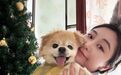 不结婚的年轻人,正裸辞给宠物养老
