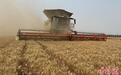 “中原粮仓”河南麦收过半