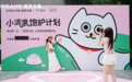 追觅公益联合它基金发起“小流浪饱护计划”,以科学救助破解流浪动物困局