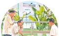 各地因地制宜开放避暑设施 公共纳凉点 乘凉好去处(探访)