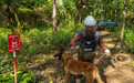 泰国军人在泰柬边境被地雷炸伤,两国就地雷来源各执一词