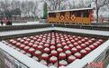 河南:雪后陕州地坑院银装素裹
