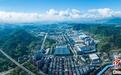 向新而行 浙江丽水探路山区发展“新赛道”