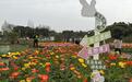 逛20座特色花园,尝遍双流美食,“成都花园生活季”嗨翻春日