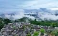 【这个城市有点潮】云南普洱:在“以茶为名”的地方与茶“香”遇