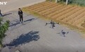 索尼ILX-LR1助力无人机实现高效罂粟巡查